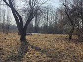 Alytaus r. sav., Vaisodžių k. - nuotraukos Nr. 4