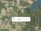 Parduodama sodyba su 30 arų sklypu, name - nuotraukos Nr. 15