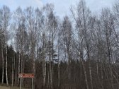 Parduodama sodyba su 30 arų sklypu, name - nuotraukos Nr. 13