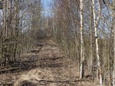 Parduodamas Patogaus Išplanavimo Namas Su 78 - nuotraukos Nr. 33