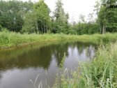 Parduodamas rekreacinės paskirties žemės - nuotraukos Nr. 7