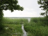 Parduodamas rekreacinės paskirties žemės - nuotraukos Nr. 9