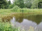 Parduodamas rekreacinės paskirties žemės - nuotraukos Nr. 8