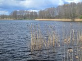 Ieškote vietos verslui ar svajonių namams - nuotraukos Nr. 2