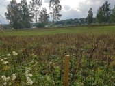 Parduodamas 17 arų žemės sklypas Justinavoje - nuotraukos Nr. 2