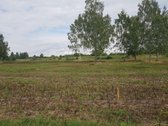 Parduodamas 17 arų žemės sklypas Justinavoje