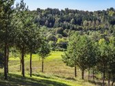 Įsivaizduokite namus, kuriuose susijungia - nuotraukos Nr. 14