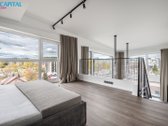 Išnuomojami dizainerio įrengti apartamentai - nuotraukos Nr. 6