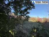 Parduodami du sodo sklypai S/b Dituva, - nuotraukos Nr. 3