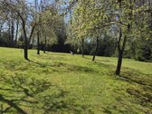 Parduodamas 1.32 ha sklypas, sudarytas iš: - nuotraukos Nr. 11