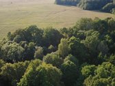 Parduodamas 1.32 ha sklypas, sudarytas iš: - nuotraukos Nr. 6