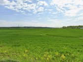 Parduodamas 2,14 Ha Pramonės-logistikos - nuotraukos Nr. 2