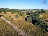 ? Parduodamas 8,60 Aro Sklypas Dituvos K. – - nuotraukos Nr. 5