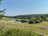 Parduodamas erdvus 7.73 ha sklypas ramioje,