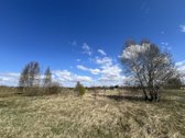 Parduodamas namų valdos sklypas Doviluose. - nuotraukos Nr. 3