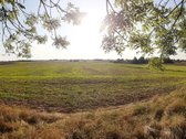 Parduodamas žemės ūkio paskirties sklypas
