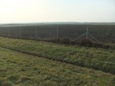 Parduodamas 790 arų žemės ūkio paskirties - nuotraukos Nr. 6