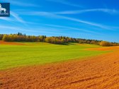 131,7 ha gamtos oazė tarp Vilniaus ir Kauno, - nuotraukos Nr. 6