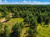 Išskirtinė vieta šalia Kuršių marių, pušyno - nuotraukos Nr. 6