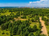 Išskirtinė vieta šalia Kuršių marių, pušyno - nuotraukos Nr. 19
