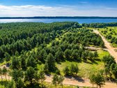 Išskirtinė vieta šalia Kuršių marių, pušyno - nuotraukos Nr. 18