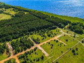 Išskirtinė vieta šalia Kuršių marių, pušyno - nuotraukos Nr. 4