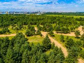Išskirtinė vieta šalia Kuršių marių, pušyno - nuotraukos Nr. 17