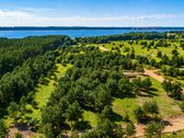 Išskirtinė vieta šalia Kuršių marių, pušyno - nuotraukos Nr. 7