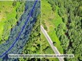 Parduodamas šalia Alantos upės ir Alantos - nuotraukos Nr. 8