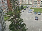 Bute niekas negyvena. Yra holas. Sandėliuko - nuotraukos Nr. 10