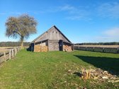 Parduodamas žemės ūkio paskirties sklypas su - nuotraukos Nr. 4