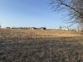 Parduodamas namų valdos sklypas Bruknių - nuotraukos Nr. 3