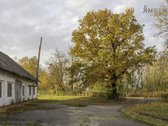 Amberti Nt agentūra parduoda komercinės ir - nuotraukos Nr. 21