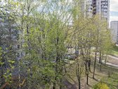 Šeškinėje nuomojamas tvarkingas 1 kambario - nuotraukos Nr. 12