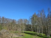 Strategiškai patogioje vietoje, vos 1 km nuo - nuotraukos Nr. 8
