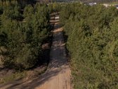 Parduodamas Namų Valdos Sklypas Pušyne – - nuotraukos Nr. 2