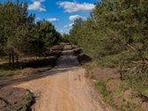 Parduodamas Namų Valdos Sklypas Pušyne – - nuotraukos Nr. 3