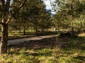 Parduodamas Namų Valdos Sklypas Pušyne – - nuotraukos Nr. 5