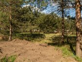 Parduodamas Namų Valdos Sklypas Pušyne – - nuotraukos Nr. 6