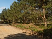 Parduodamas Namų Valdos Sklypas Pušyne – - nuotraukos Nr. 7