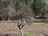 Poilsiui, gyvenimui. Keliolika minučių nuo - nuotraukos Nr. 32