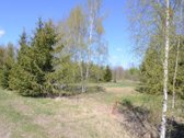 Parduodama sodyba Vilkaviškio savivaldybėje, - nuotraukos Nr. 16