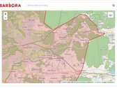 Ribojasi su Pušynu, 200 metrų iki tvenkinio - nuotraukos Nr. 20
