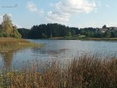 Ribojasi su Pušynu, 200 metrų iki tvenkinio - nuotraukos Nr. 8