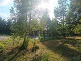 Ribojasi su Pušynu, 200 metrų iki tvenkinio - nuotraukos Nr. 15