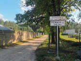Ribojasi su Pušynu, 200 metrų iki tvenkinio - nuotraukos Nr. 17