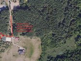Ribojasi su Pušynu, 200 metrų iki tvenkinio - nuotraukos Nr. 18