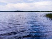 Iki ežero 1 km puiki sodyba galėtų būti poilsiui - nuotraukos Nr. 28