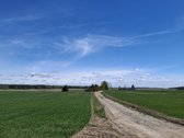 Parduodama dirbama žemė Jonavos rajone Kulvos - nuotraukos Nr. 3