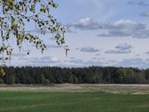 Parduodama dirbama žemė Jonavos rajone Kulvos - nuotraukos Nr. 5